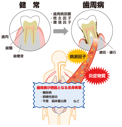 oralimg13.gif